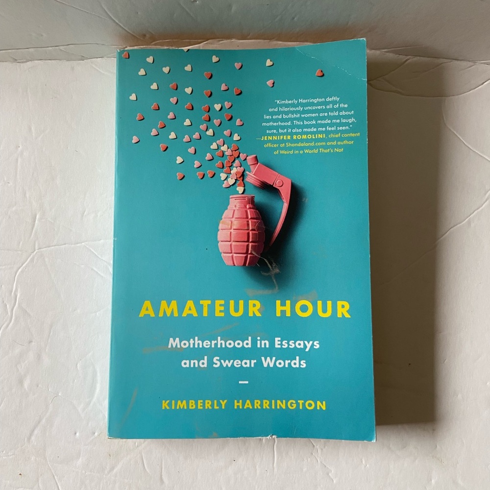 ***NEW*** Amateur Hour soft back book by Kimberly Harrington.  Motherhood